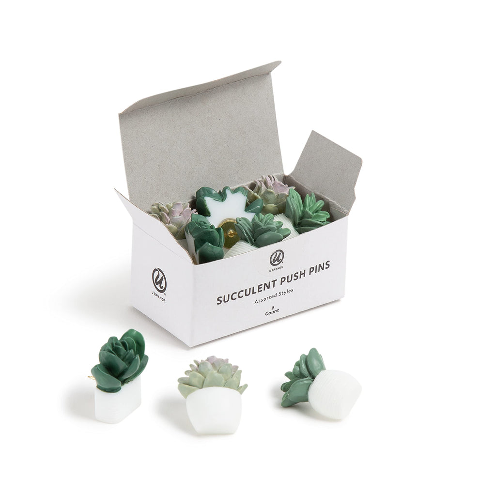 Premium imported U Brands Succulent Push Pins in stylish packaging, perfect for adding flair to your workspace. Available at Curat Cart.