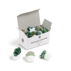 Premium imported U Brands Succulent Push Pins in stylish packaging, perfect for adding flair to your workspace. Available at Curat Cart.