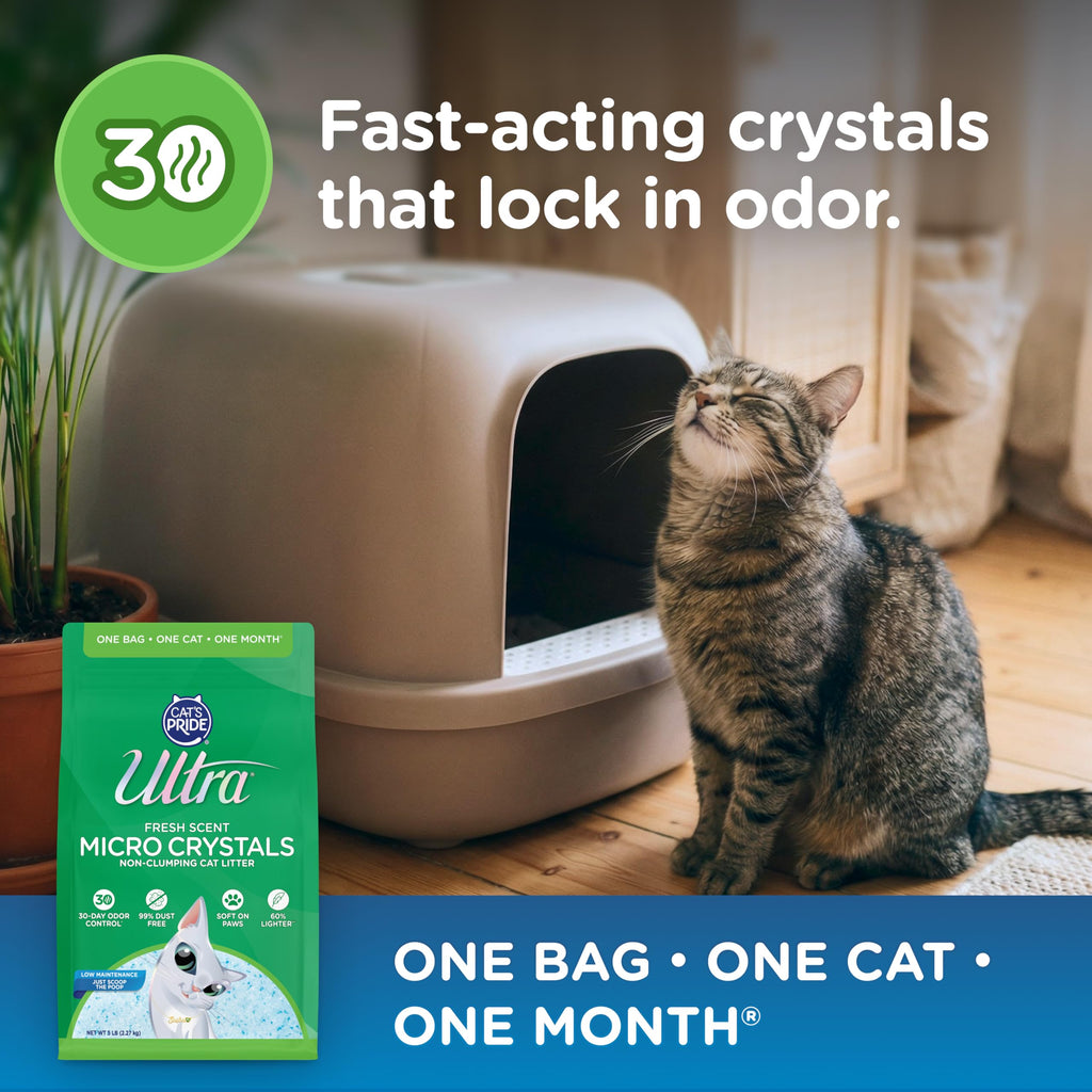 Ultra Fresh Scent Micro Crystals Litter offers fast-acting odor control, perfect for daily use. Available at Curat Cart.