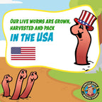 Uncle Jim's Red Wiggler Worms, grown and packed in the USA, perfect for gardening enthusiasts. Available at Curat Cart.