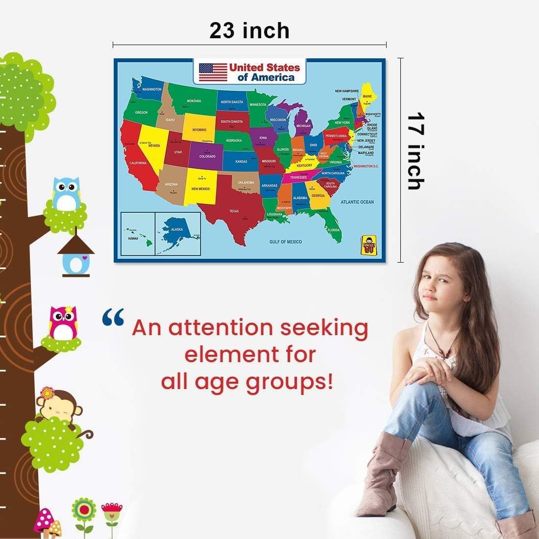Explore the vibrant United States Map Laminated Poster, perfect for classrooms and home decor. Available at Curat Cart.
