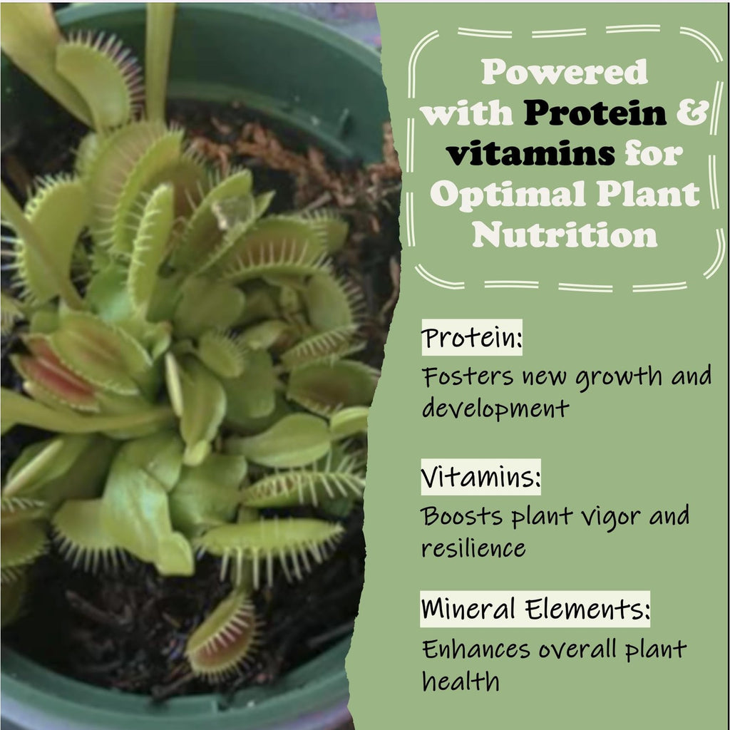 High-quality Venus Flytrap Food Solid Gel in official packaging, enriched with protein and vitamins for optimal plant nutrition. Available at Curat Cart.