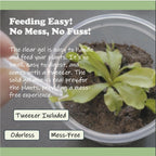 Specially curated by Curat Cart, this solid gel mimics real prey for Venus Flytraps, ensuring mess-free feeding for your plants.