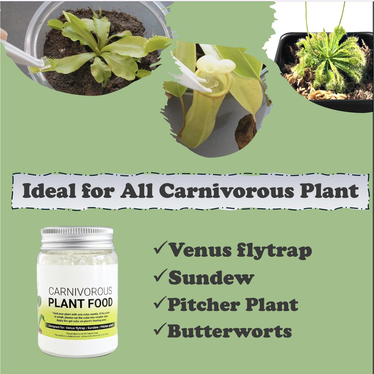 Enhance your Venus Flytrap's growth with this solid gel food. Perfect for all carnivorous plants. Available at Curat Cart.