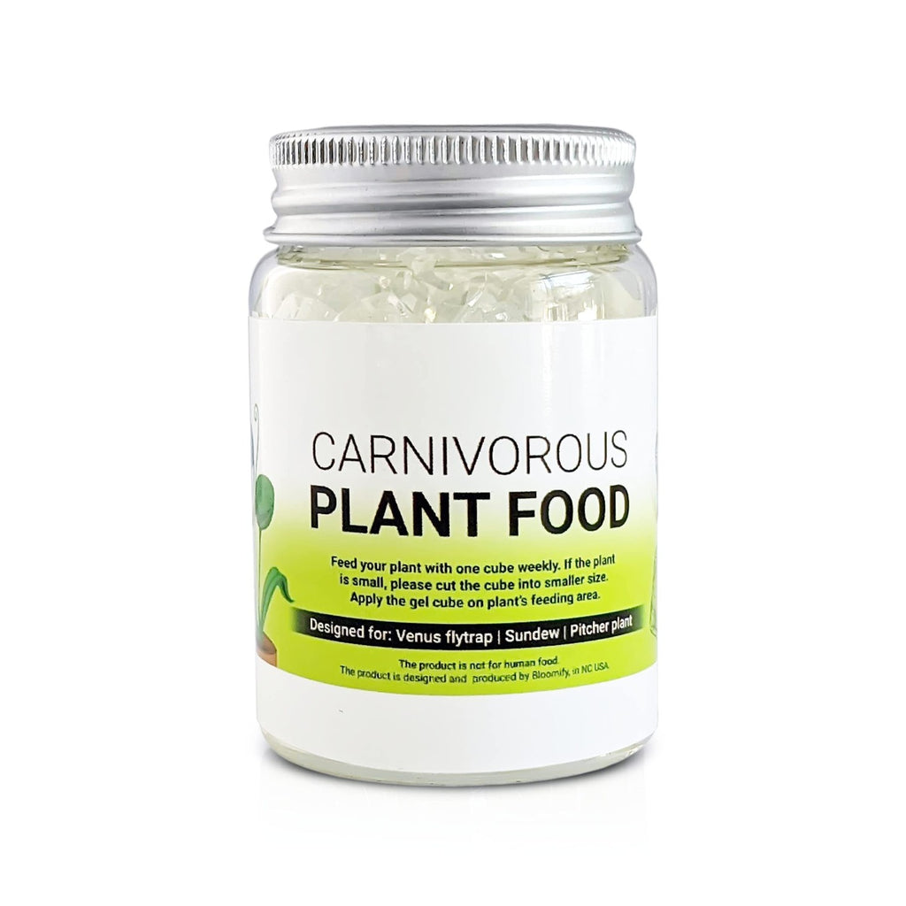Premium imported Venus Flytrap Food Solid Gel in a clear jar, designed for carnivorous plants. Available at Curat Cart.
