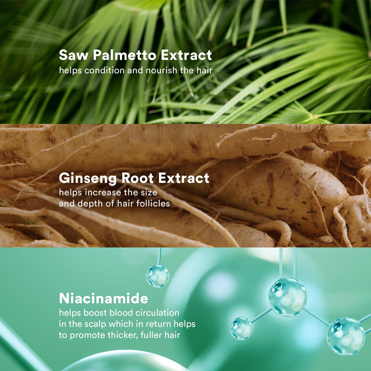 Premium VERB Density Peptide Shampoo featuring Saw Palmetto, Ginseng, and Niacinamide for thicker, nourished hair.
