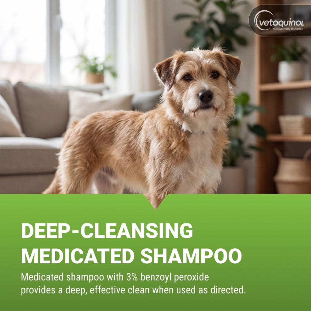 Vetoquinol BPO-3 Shampoo offers deep-cleansing with 3% benzoyl peroxide, 100% Authentic and available at Curat Cart.