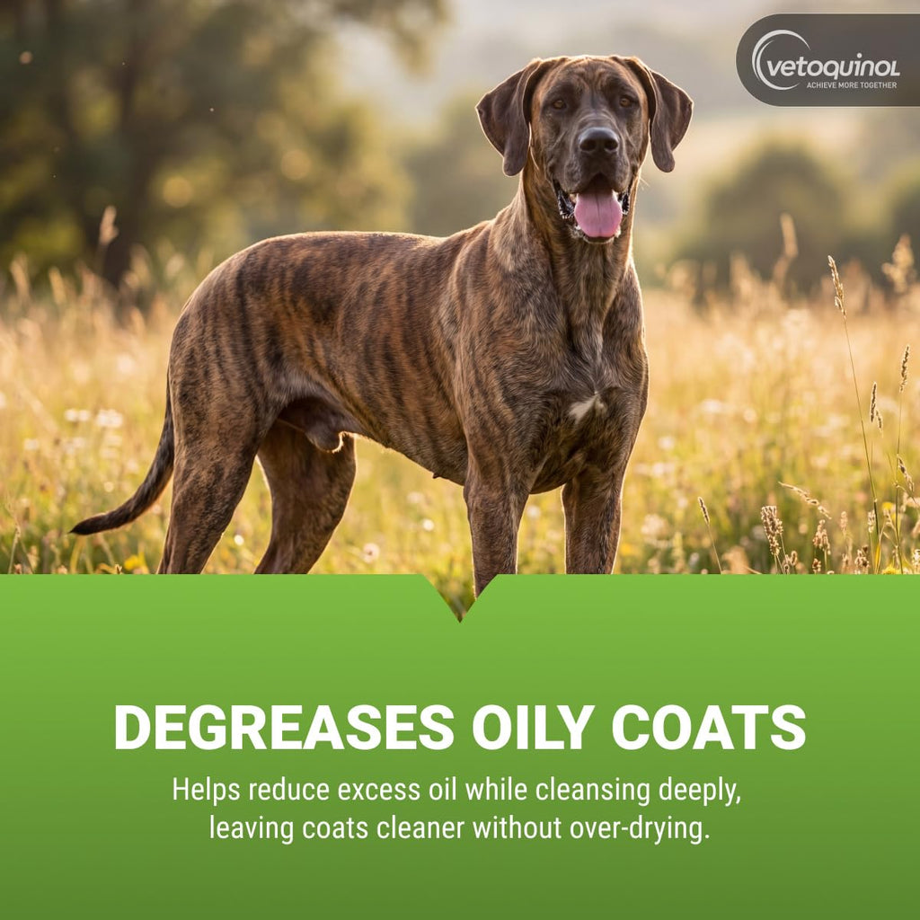 Specially curated by Curat Cart, Vetoquinol BPO-3 Shampoo deeply cleanses oily coats, ensuring a healthier, shinier appearance.