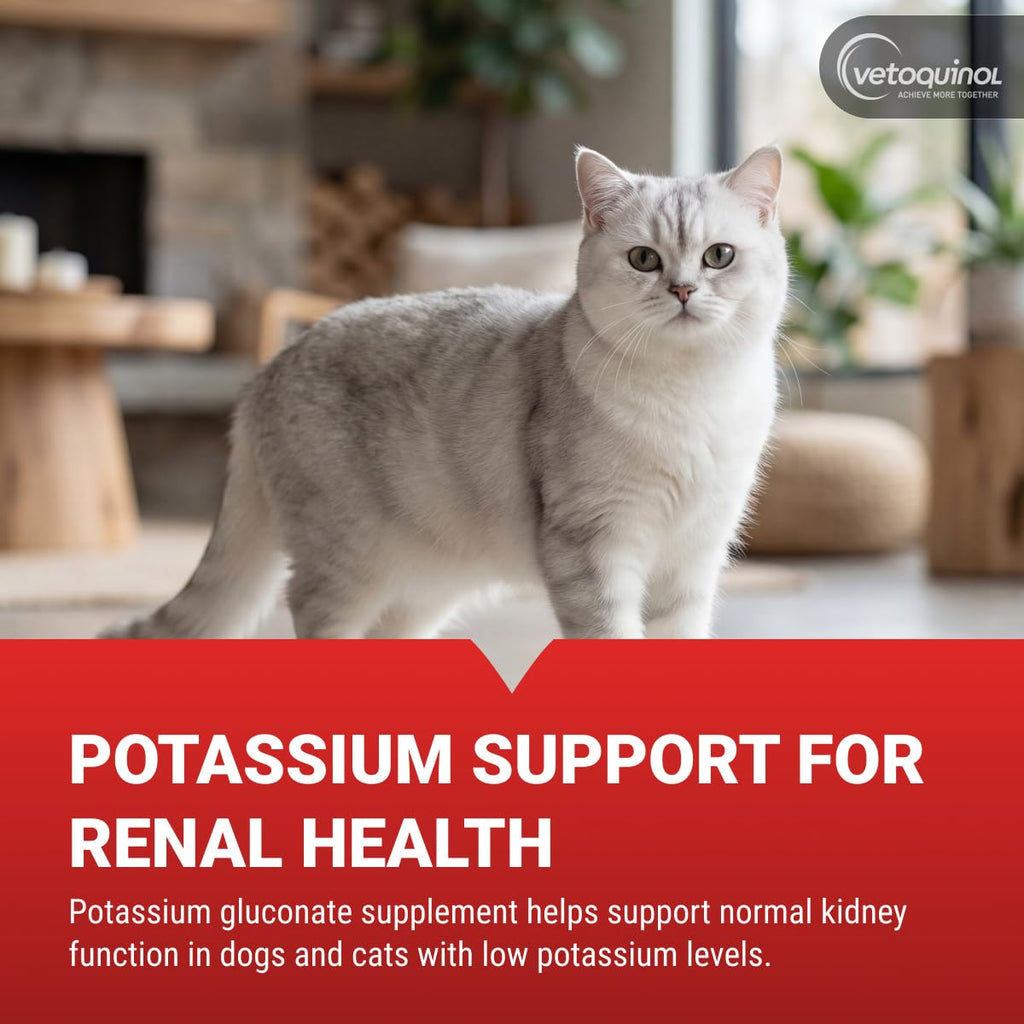 Vetoquinol Renal K Potassium Gel offers essential potassium support for renal health. 100% Authentic and available at Curat Cart.