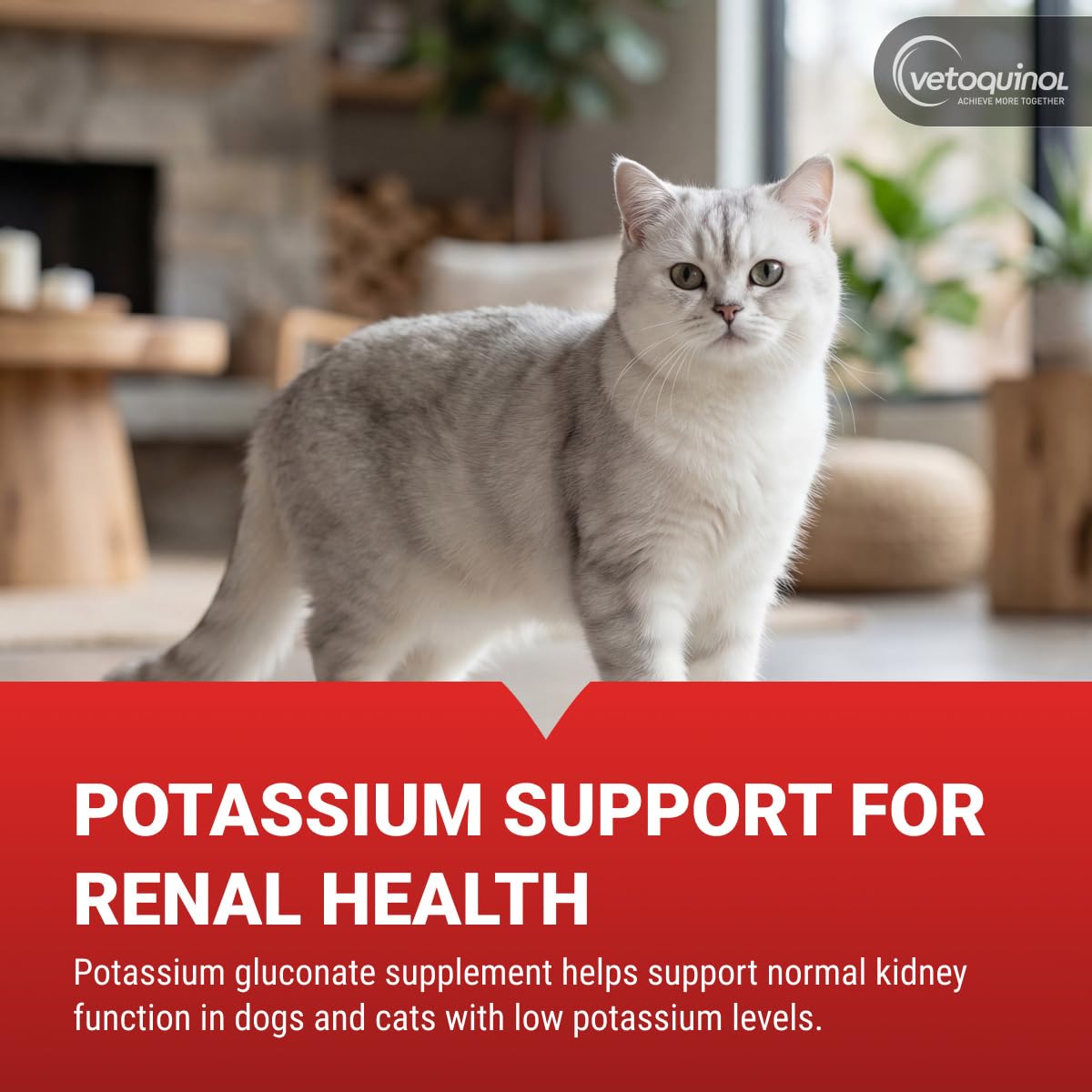 Vetoquinol Renal K Potassium Gel offers essential potassium support for renal health. 100% Authentic and available at Curat Cart.