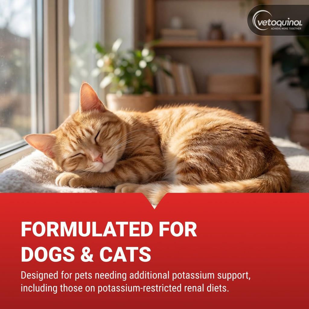 Vetoquinol Renal K Potassium Gel, specially curated by Curat Cart, supports dogs and cats on potassium-restricted diets.