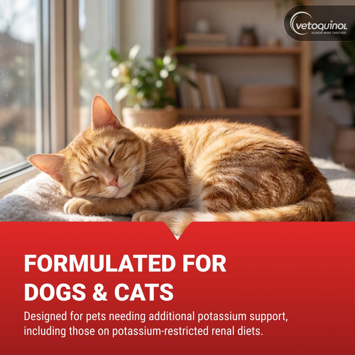 Vetoquinol Renal K Potassium Gel, specially curated by Curat Cart, supports dogs and cats on potassium-restricted diets.