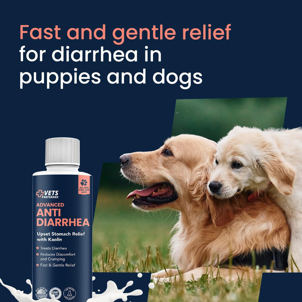 Vets Preferred Anti-Diarrhea Relief offers fast relief for diarrhea in dogs and puppies. Perfect for daily use. Available at Curat Cart.