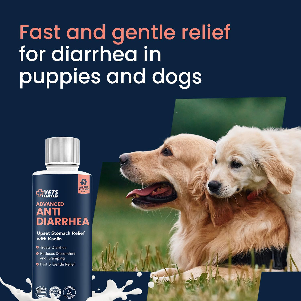 Vets Preferred Anti-Diarrhea Relief offers fast relief for diarrhea in dogs and puppies. Perfect for daily use. Available at Curat Cart.
