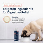 Vets Preferred Anti-Diarrhea Relief in official packaging, designed for quick digestive support. Available at Curat Cart.