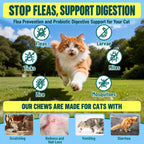 VICSOM Flea and Tick Prevention offers effective protection for your cat against fleas, ticks, and more. Available at Curat Cart, 100% Authentic.