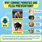 VICSOM Flea and Tick Prevention infographic detailing benefits like skin irritation relief and digestive health. Available at Curat Cart.