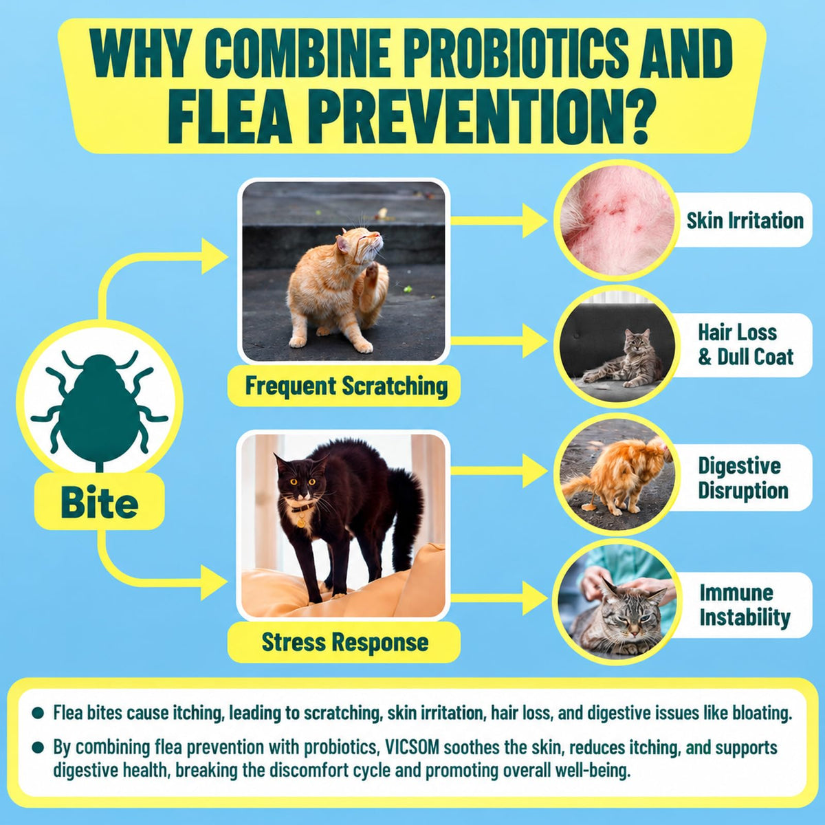 VICSOM Flea and Tick Prevention infographic detailing benefits like skin irritation relief and digestive health. Available at Curat Cart.