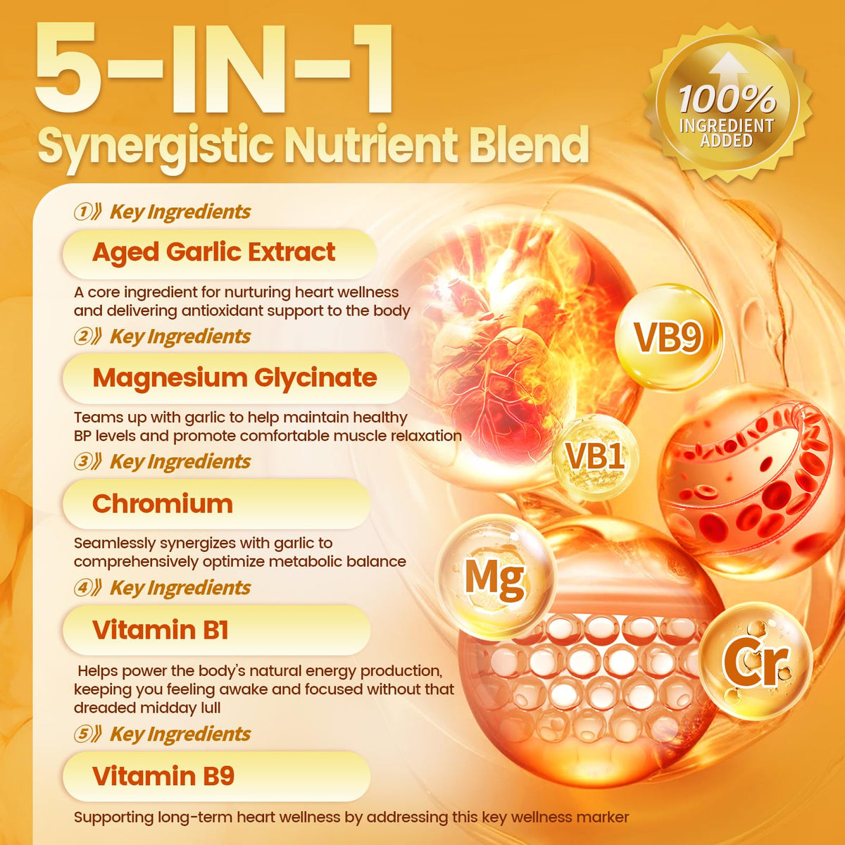 Discover VivoNu Aged Garlic Extract Capsules, specially curated by Curat Cart for optimal health and wellness support.