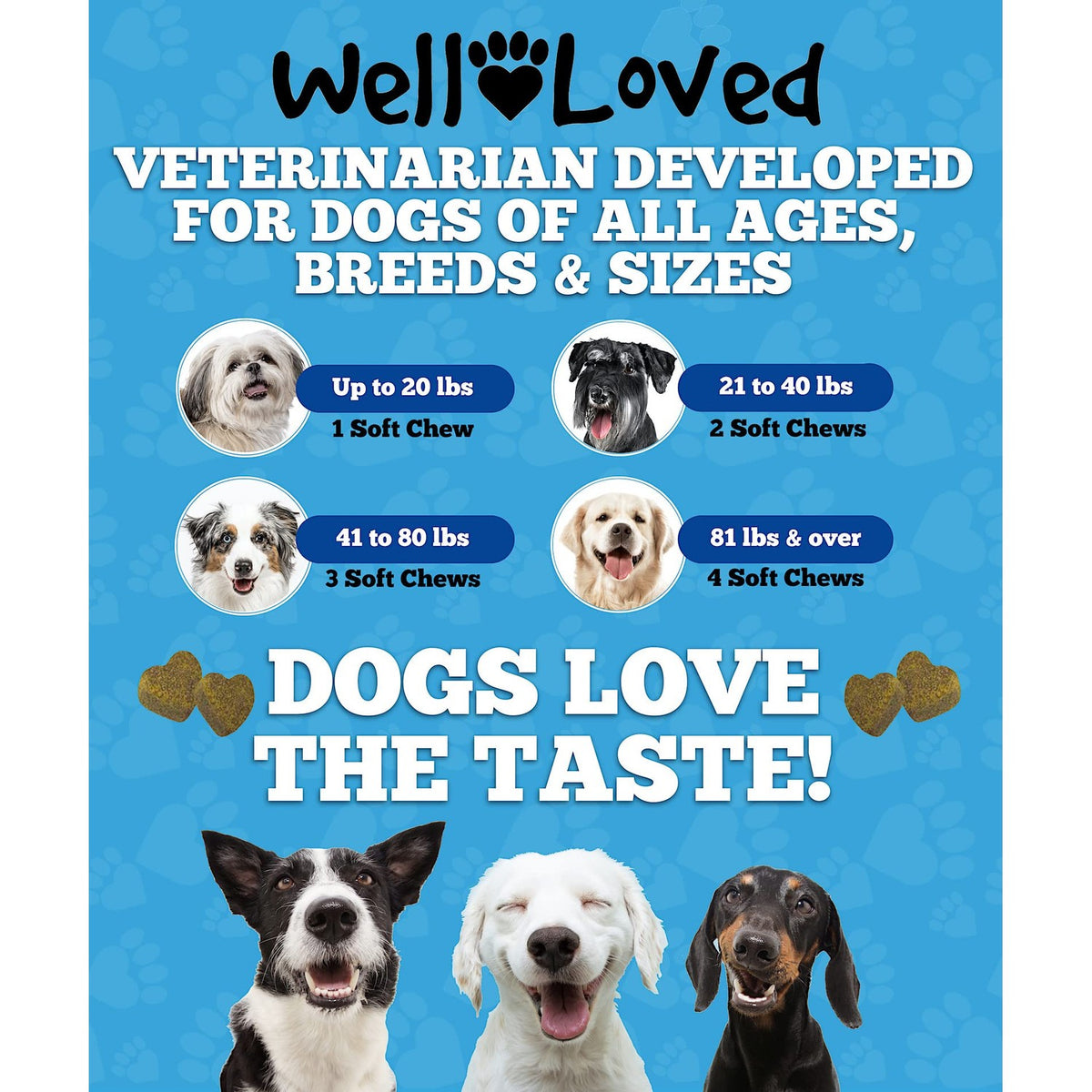 Well Loved Probiotics for Dogs, premium imported soft chews for all ages, breeds, and sizes. Available at Curat Cart.