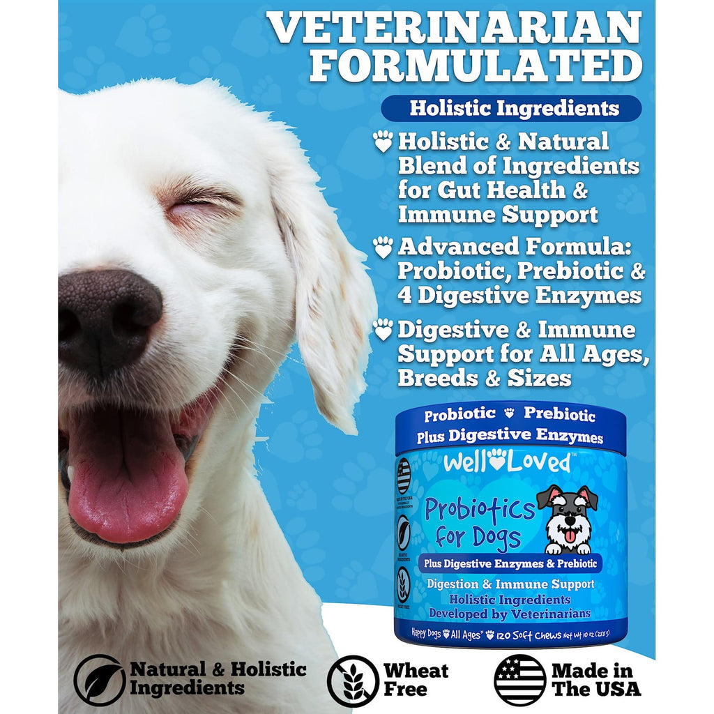 Well Loved Probiotics for Dogs offers holistic support for gut health and immunity, specially curated by Curat Cart for your furry friend.