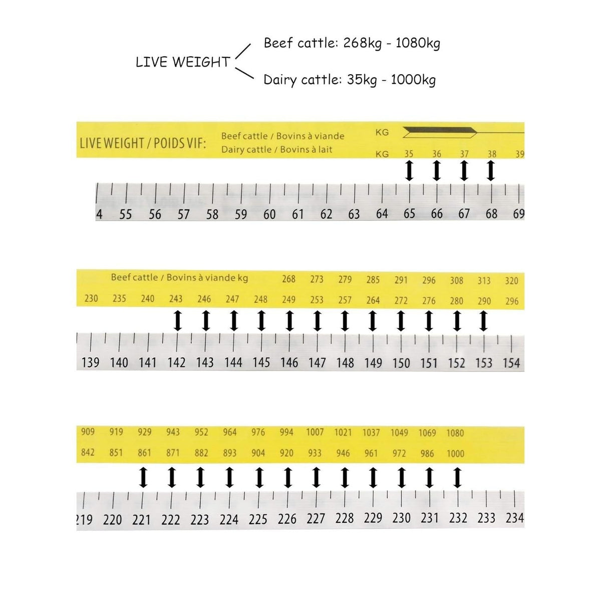 WIN TAPE Professional Cattle Weightband - Detailed View 4 | Authentic Curat Cart Stock