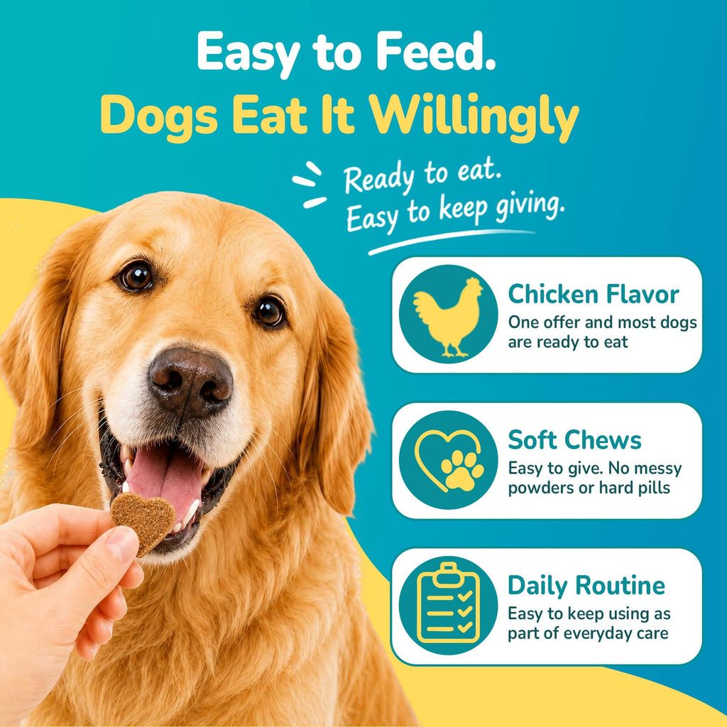 Woyamay Dog Allergy Chews in chicken flavor, specially curated by Curat Cart for easy feeding and daily care.
