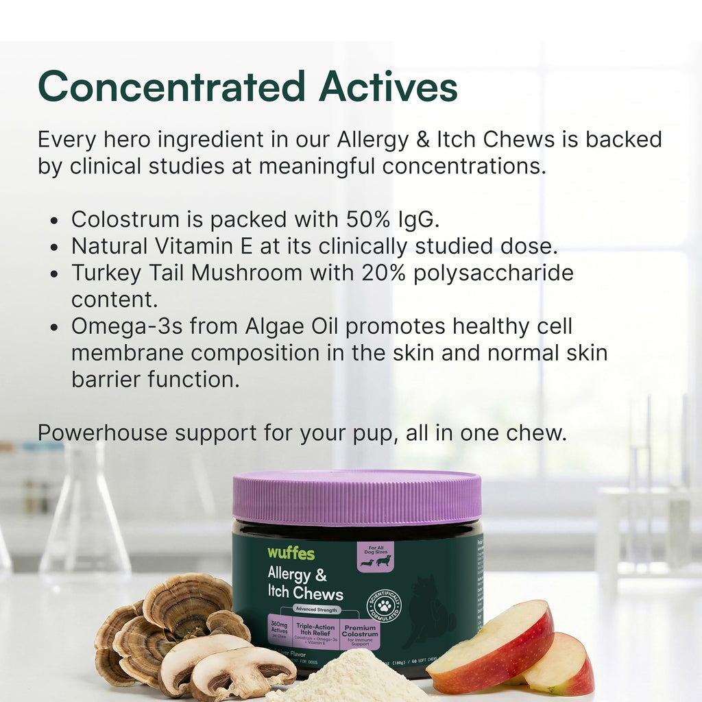 Discover Wuffes Dog Allergy Chews, specially curated by Curat Cart, for effective allergy relief and overall wellness in your pup.