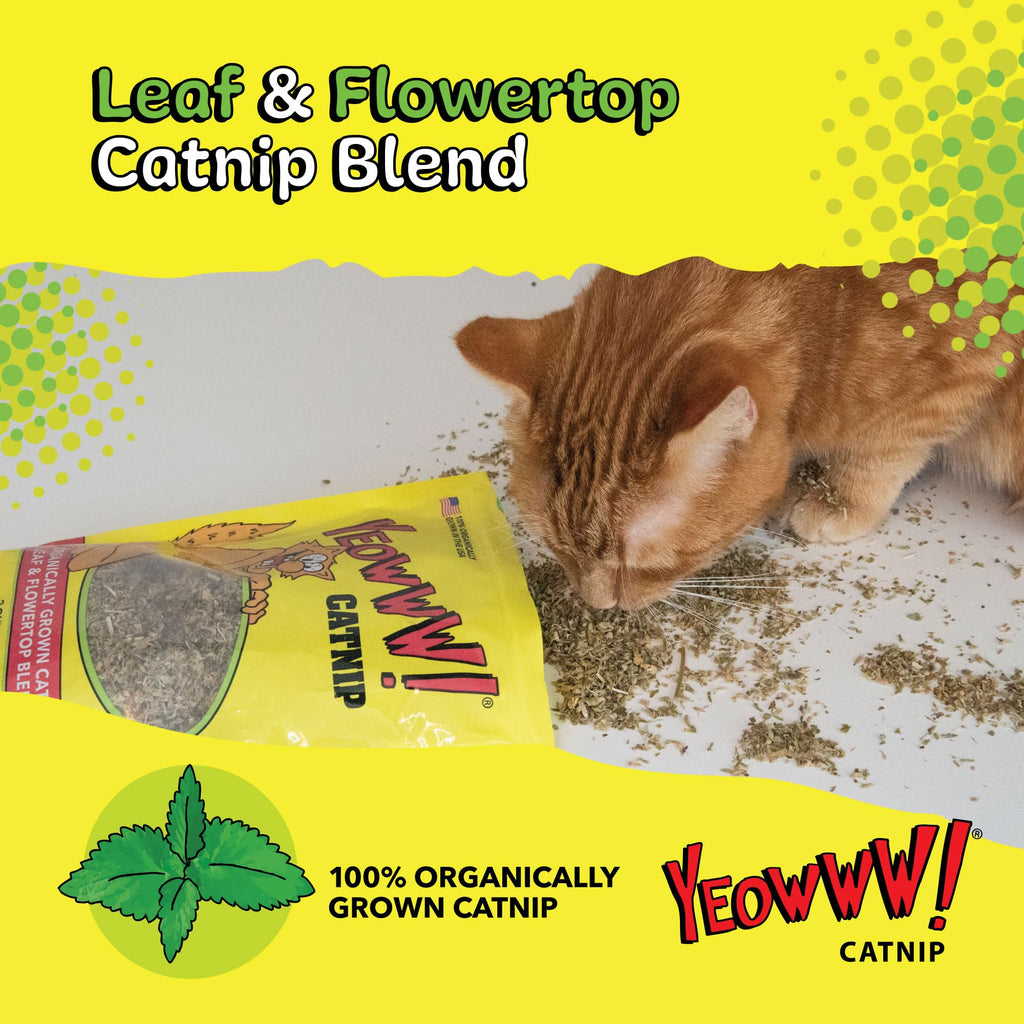Specially curated by Curat Cart, Yeowww! Organic Catnip offers 100% organically grown catnip for playful moments. Perfect for your feline friend.
