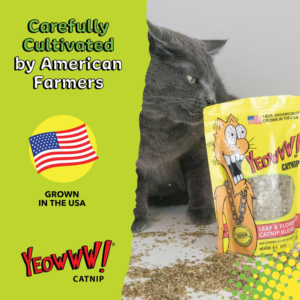 Yeowww! Organic Catnip for Cats enhances playtime. Perfect for daily use, available at Curat Cart. Cultivated by American farmers.