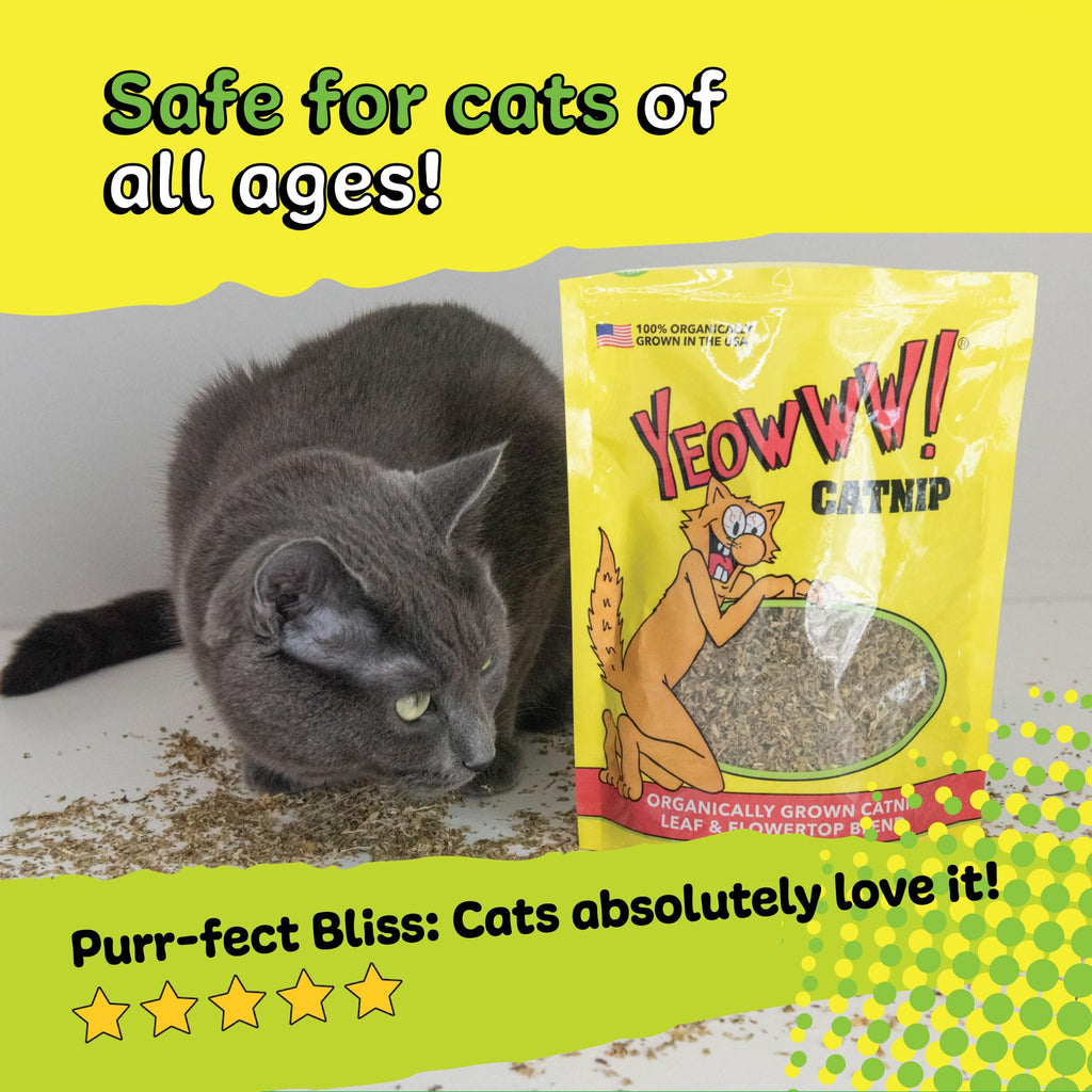 Yeowww! Organic Catnip for Cats, 100% Authentic and available in India at Curat Cart. Cats adore this organic catnip blend.