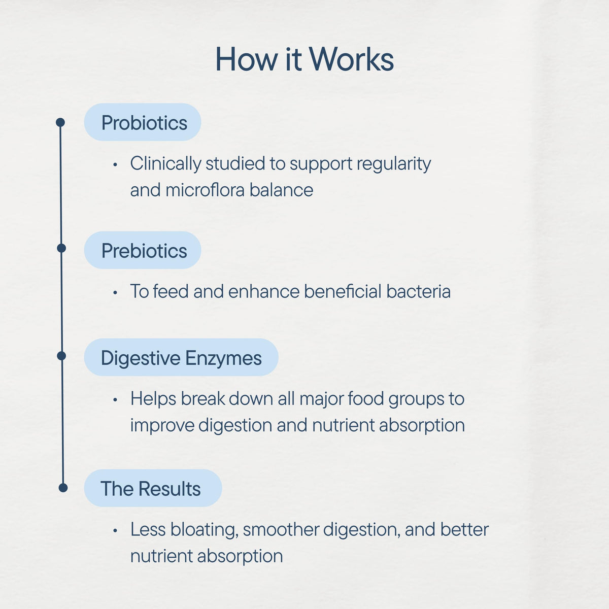 Zenwise Health Digestive Enzymes Probiotics - How It Works Infographic Overview | Authentic Curat Cart Stock