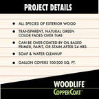 Discover Zinsser WoodLife Coppercoat, a premium imported wood treatment ideal for exterior wood projects, available at Curat Cart.