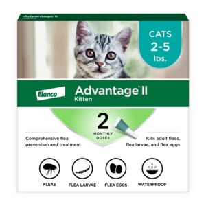 Advantage II Kitten Flea Treatment offers premium imported flea control for cats 2-5 lbs. Available at Curat Cart.