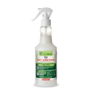 Premium imported All-Natural Ant Control Spray by FortaGrow, a powerful, plant-based solution for safe pest management. Available at Curat Cart.