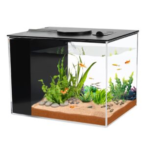 Discover the Aquaneat Betta Fish Tank, a premium import perfect for vibrant aquatic displays. Available at Curat Cart.