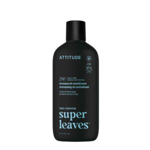 Experience ATTITUDE Men's 2-in-1 Shampoo Conditioner, a premium import featuring eucalyptus for revitalized hair. Available at Curat Cart.