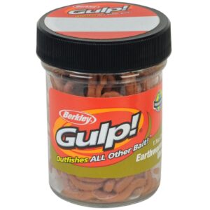 Berkley Gulp Earthworm in a premium import jar, ideal for fishing enthusiasts. Available at Curat Cart.