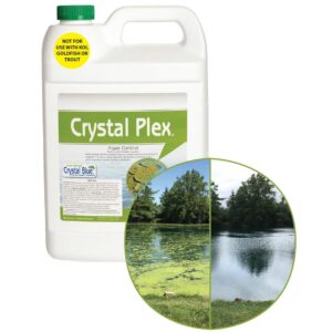 Premium imported Crystal Plex Algaecide Treatment effectively controls algae in water bodies. Available at Curat Cart.
