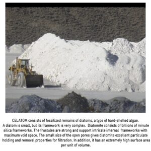 EASYGO Celatom Diatomaceous Earth Filter Aid, a premium imported product, ideal for filtration, available at Curat Cart.
