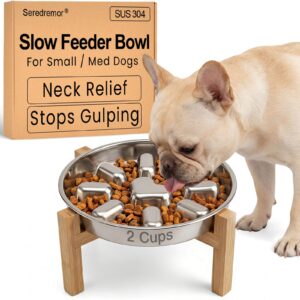 Premium imported elevated slow feeder dog bowl designed for neck relief and reducing gulping, available at Curat Cart.