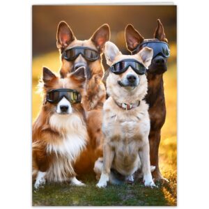 Celebrate with a Funny Birthday Card for Dogs, a premium import perfect for pet lovers. Available at Curat Cart.