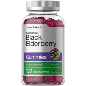 Authentic Horbaach Black Elderberry Gummies, 120 vegan dietary supplements in a clear bottle with berry flavor.