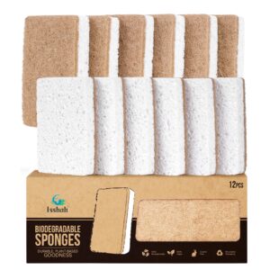 Premium imported Isshah Plant-Based Kitchen Sponges, eco-friendly, biodegradable, perfect for sustainable cleaning. Available at Curat Cart.