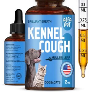 Premium imported Kennel Cough Medicine for dogs and cats, featuring a dropper and detailed dosing instructions. Available at Curat Cart.