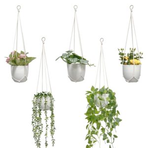Explore premium imported macrame plant hanger set from Curat Cart, perfect for enhancing your indoor greenery style.