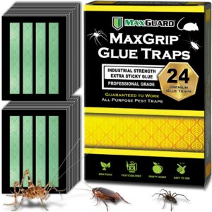 MaxGuard MaxGrip Glue Traps offer premium imported pest control with industrial strength. Available at Curat Cart.