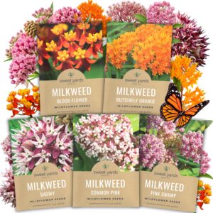 Explore premium imported Milkweed Seed Variety Pack from Curat Cart, featuring vibrant wildflower seeds for your garden. Perfect for butterflies.