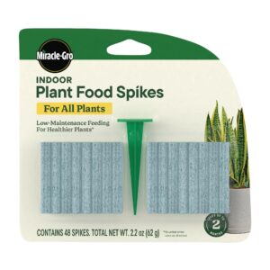 Premium imported Miracle-Gro Indoor Plant Food Spikes ensure healthy growth for all plants. Available at Curat Cart.