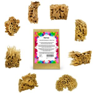 NAROA Natural Sea Sponges for Painting, premium imported choice from Curat Cart, perfect for artists seeking quality and versatility.